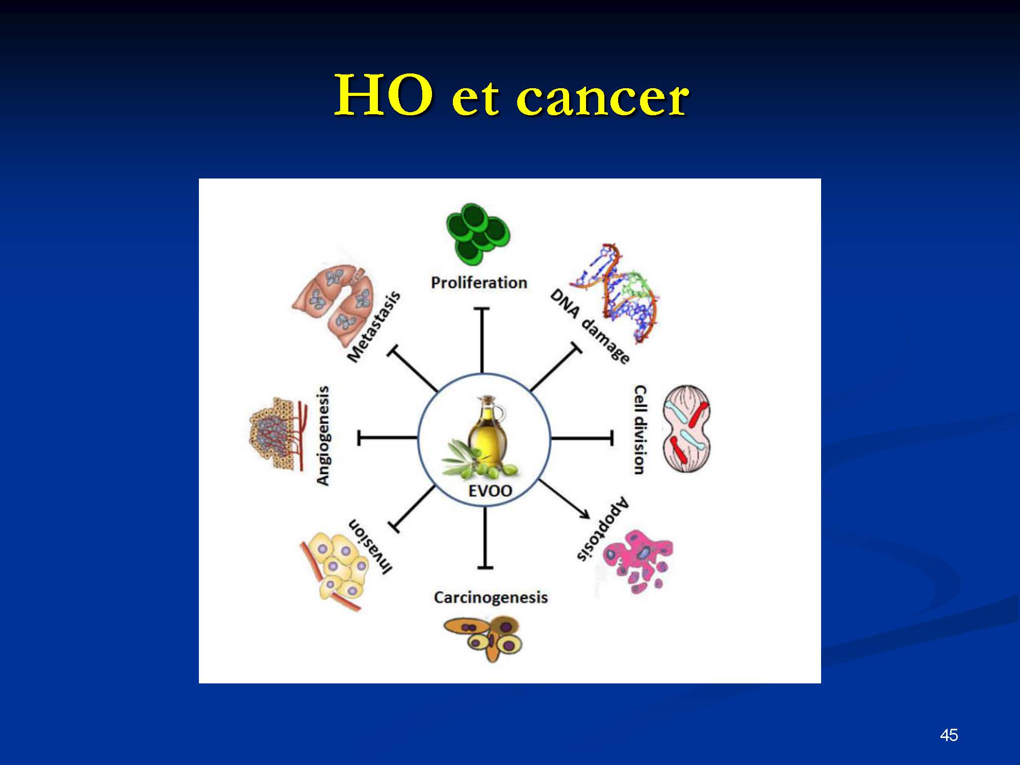 Effets curatifs de l’olivier sur la santé