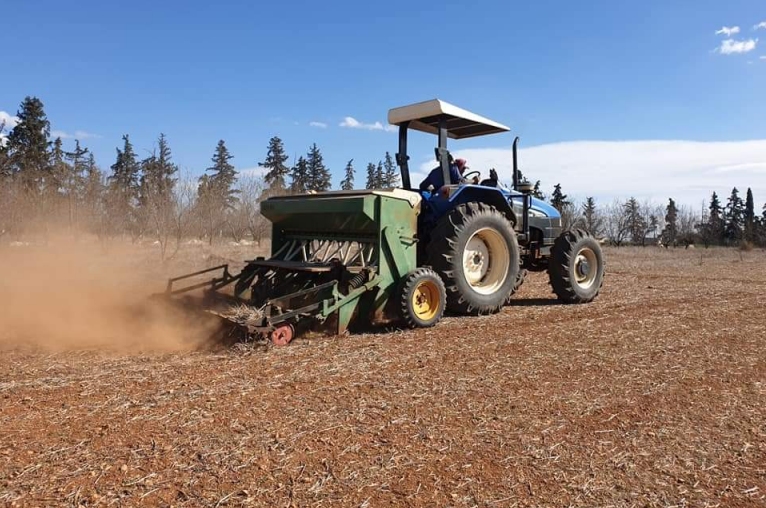 Le semis direct: potentiel et limites pour une agriculture durable en Afrique du nord