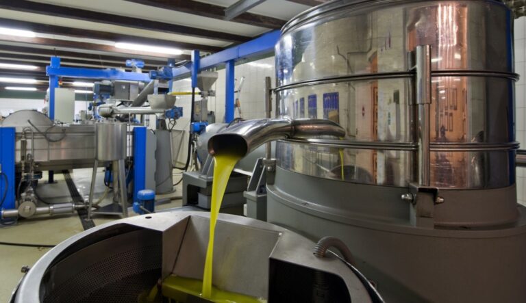 Technologies d’extraction de l’huile d’olive et gestion de sa qualité