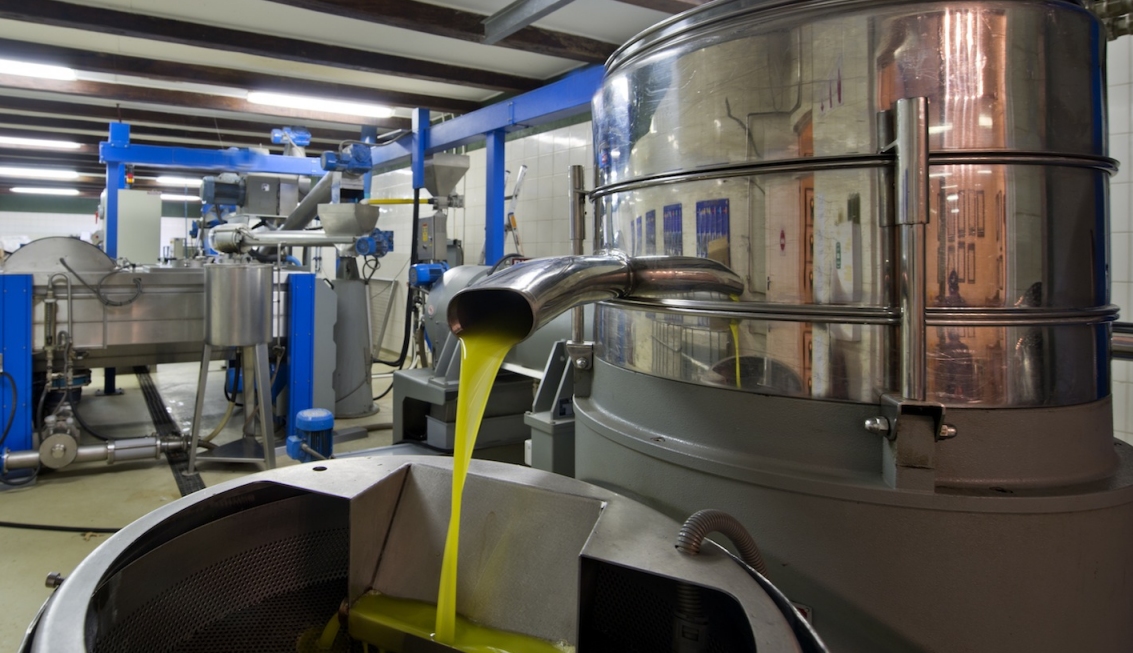Professionnel et efficace machine de extraction huile olive