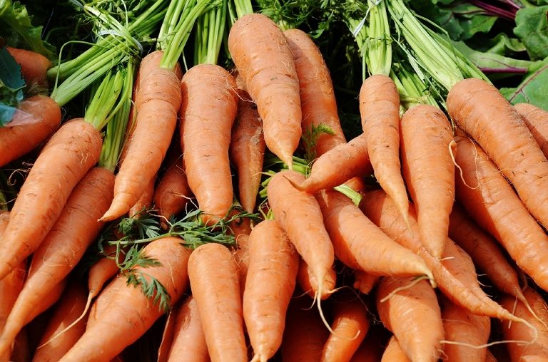 La carotte