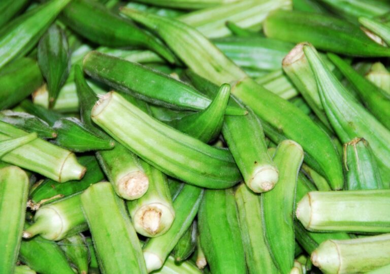 Le gombo – Okra