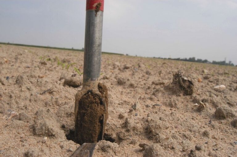Eléments d’aide au raisonnement de l’échantillonnage du sol en parcelle agricole