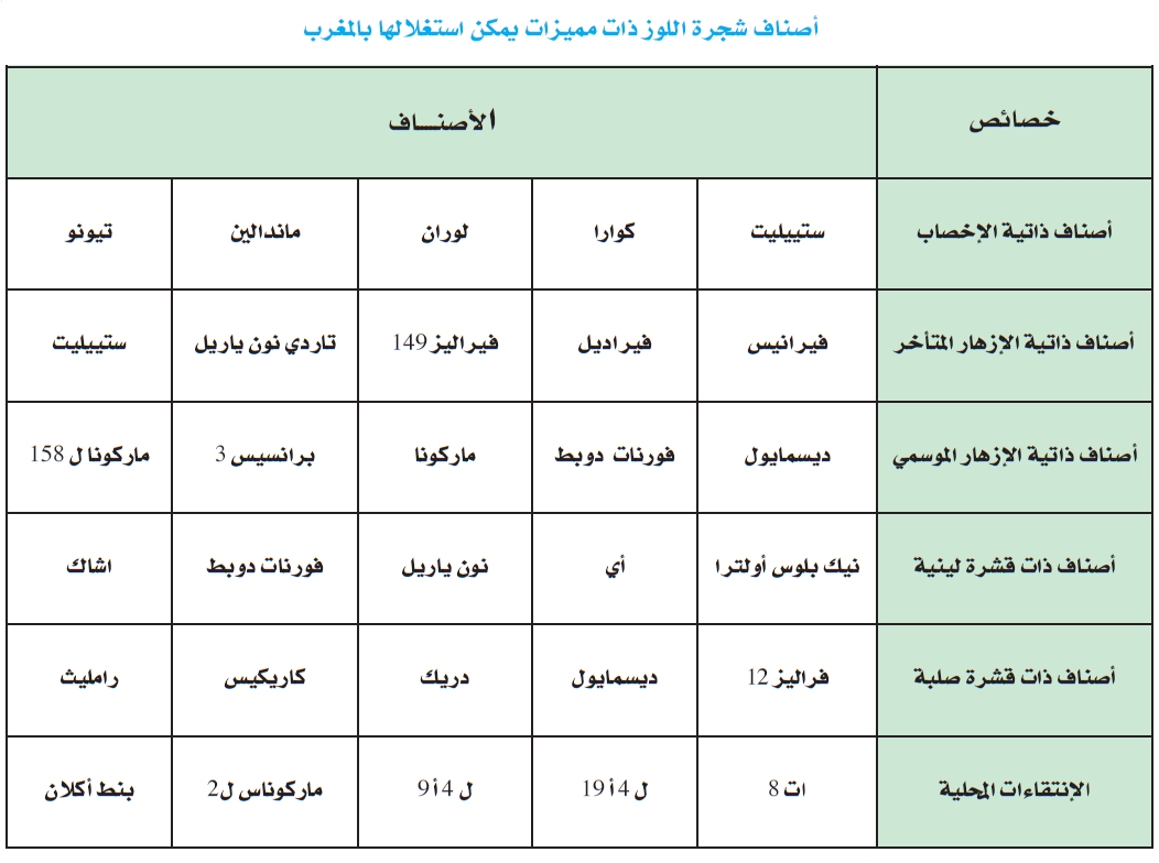 شجرة اللوز Transfert De Technologie En Agriculture Maroc