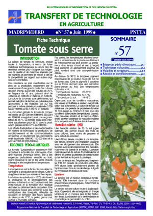 Rendement tomate sous serre