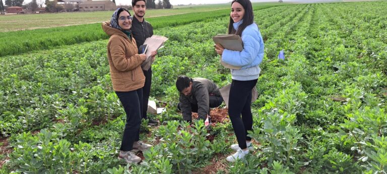 18/02/2023: Deux étudiants ingénieurs de l’IAV Hassan II réalisent leur PFE en agriculture de conservation