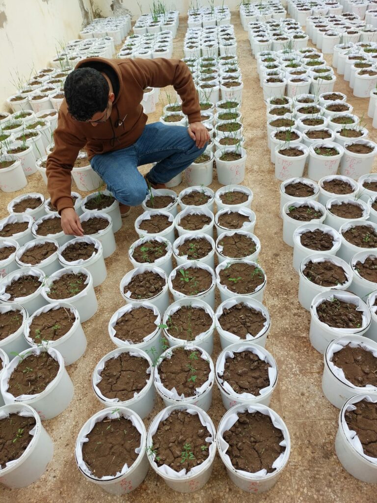 23/02/2023: Gestion intégrée des adventices en agriculture de conservation