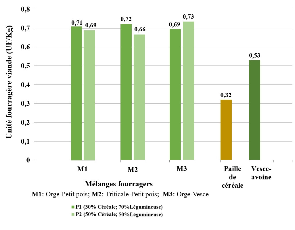 Qualité globale du lait cru de vache au Maroc Concepts, état des lieux et  perspectives d'amélioration - Transfert de Technologie en Agriculture Maroc