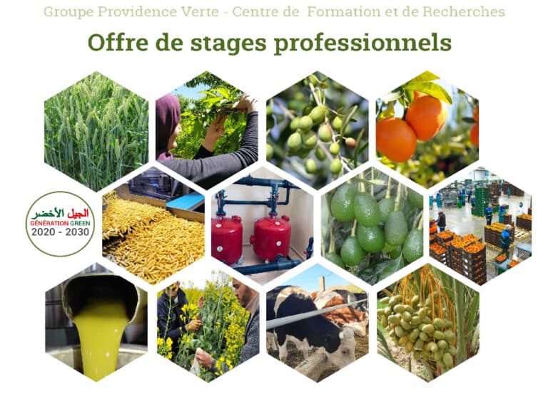 Offre de stages professionnels de 3 à 4 mois