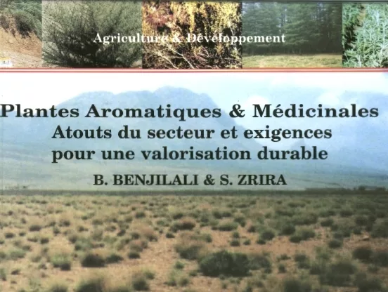 Plantes aromatiques et médicinales: atouts du secteur et exigences pour une valorisation durable (2005)