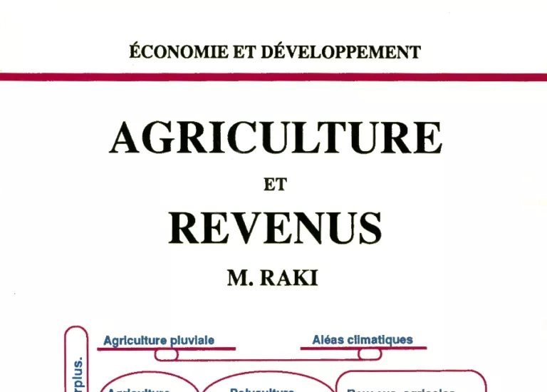 Agriculture et revenus (1991)