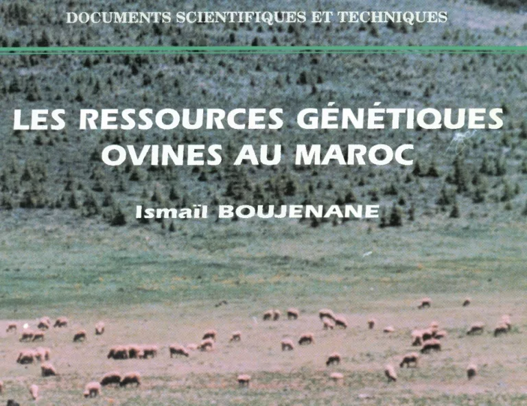 Les ressources génétiques ovines au Maroc (1999)