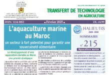 L’aquaculture marine au Maroc: Un secteur à fort potentiel pour garantir une souveraineté alimentaire