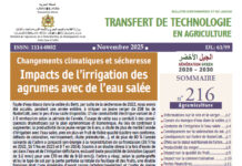 Changements climatiques et sécheresse: Impacts de l’irrigation des agrumes avec de l’eau salée